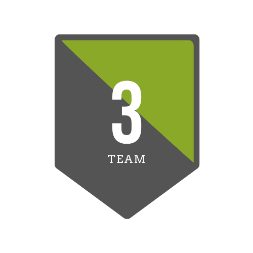 Team 3 Logo