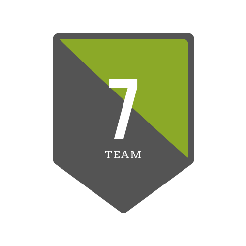 Team 7 Logo
